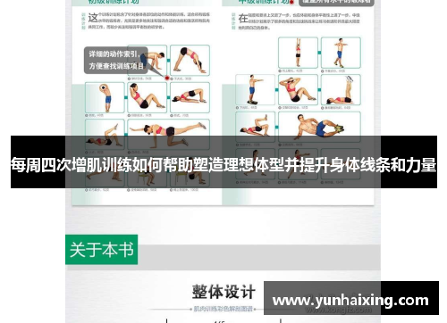 每周四次增肌训练如何帮助塑造理想体型并提升身体线条和力量