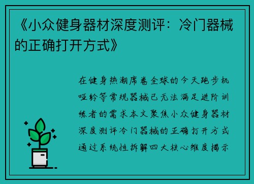 《小众健身器材深度测评：冷门器械的正确打开方式》